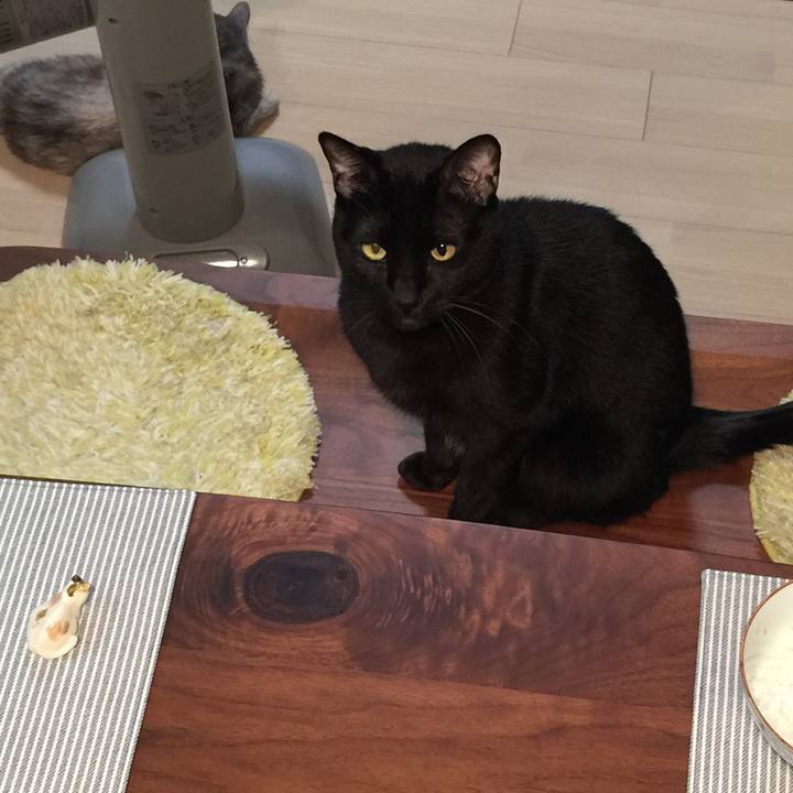 6a476a33 7632 47ff bc45 00f025083673