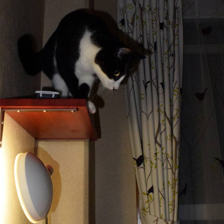 6a47c61f 1bf2 45c0 8083 c35e483dd0a8