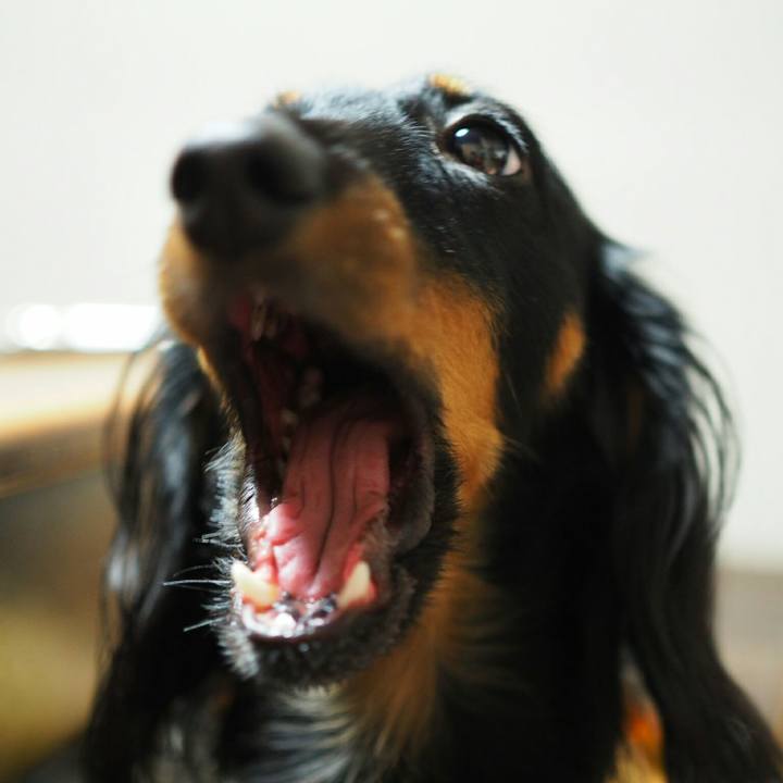 6a499556 3dfd 42ed 8f1f f5196a9a03d3