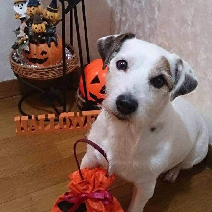 6a49cb20 ad13 440b 8559 bba67171f794