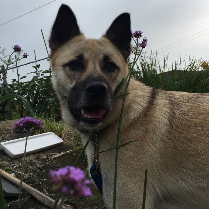 6a49dd41 b519 488c b177 9fb43329caa0