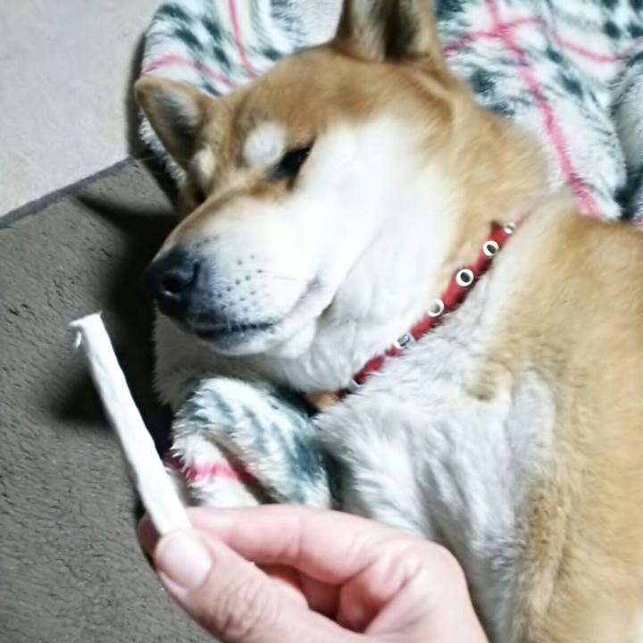 6a4a374e b9a6 4d27 af3a e3d84726a82d