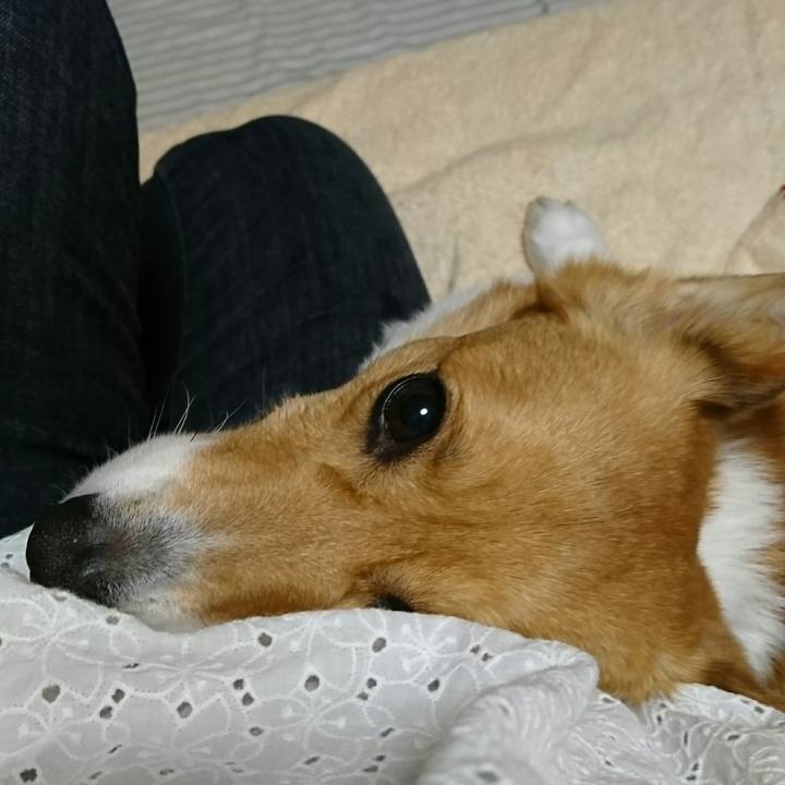 6a4b5b24 997f 492b b9fa d865684ab44e