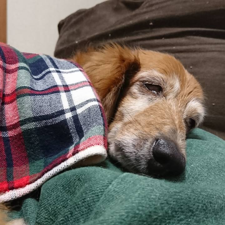 6a4bf4a5 b1d7 43de 8e44 a8906acdedfe