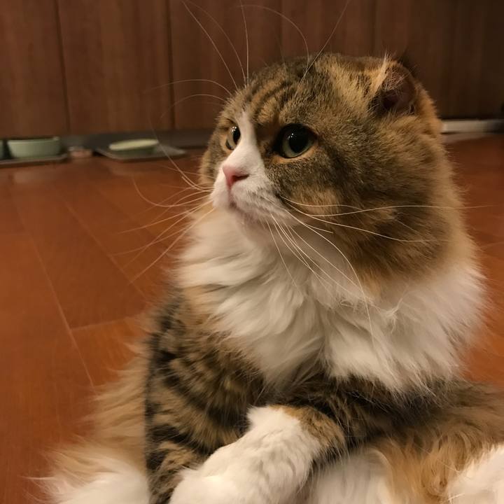 6a4cd991 2ed3 4353 bc0b 44a4c325d0f6