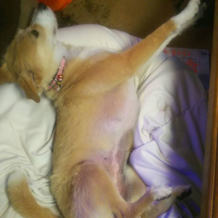 6a4db97b 7373 4447 a2c3 e7050432a83a