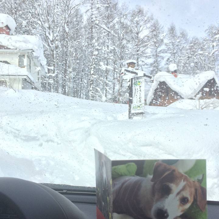 6a4e3483 3224 45f5 b3de 1eec471051fb