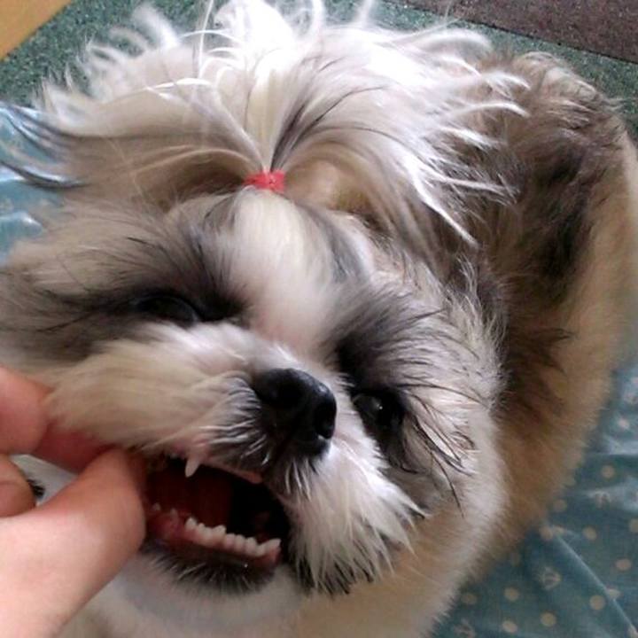 6a4ef0b1 81cc 4d0e bce7 56268069cd36