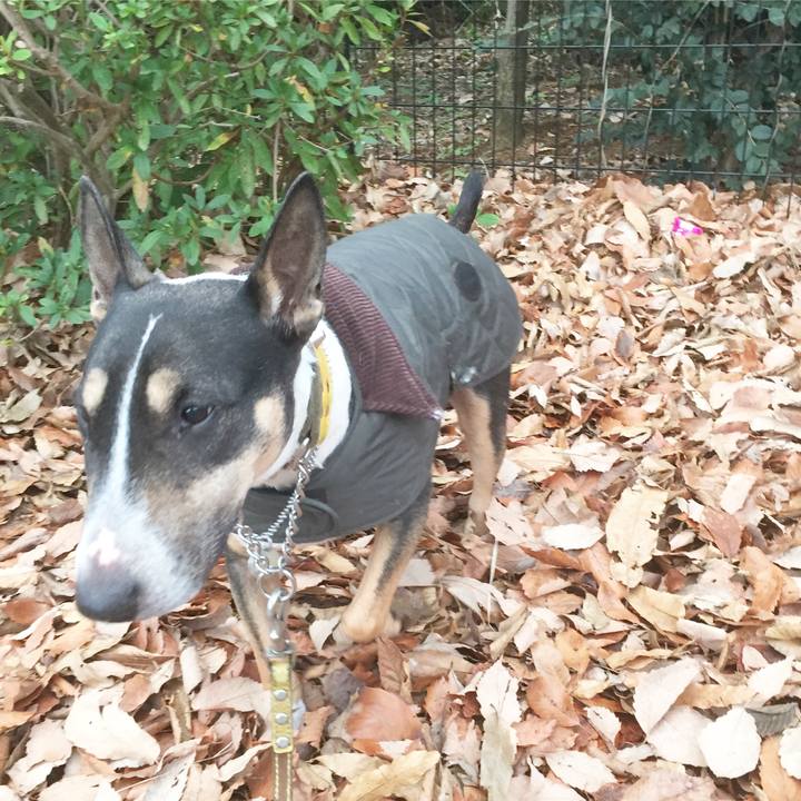 6a4f3188 cc1b 4947 86a5 437ab8c1079f