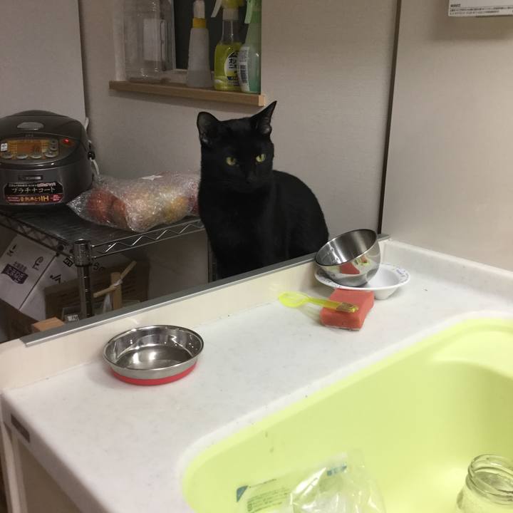 6a4f78dd 7472 46ee 928c 91186964f13b