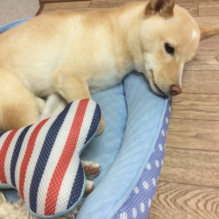 6a4fc422 62dc 416f bcf5 42795c8ca3fc