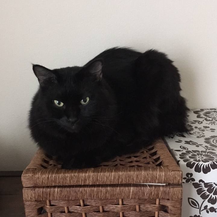 6a4fe9c1 a013 448f 955e 73242a2f9cbe