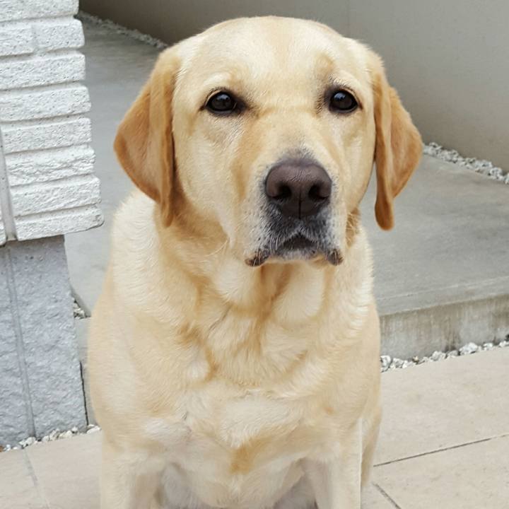 6a50a4aa 3d03 42b1 83af e19fc21e19c3