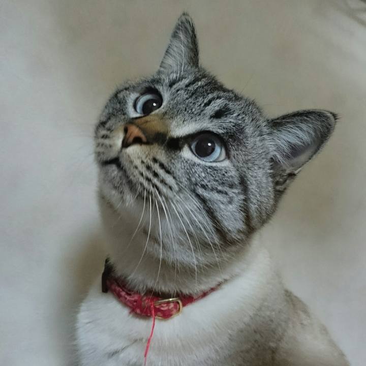 6a50b211 338c 499a ad2d 2079a6c597d7