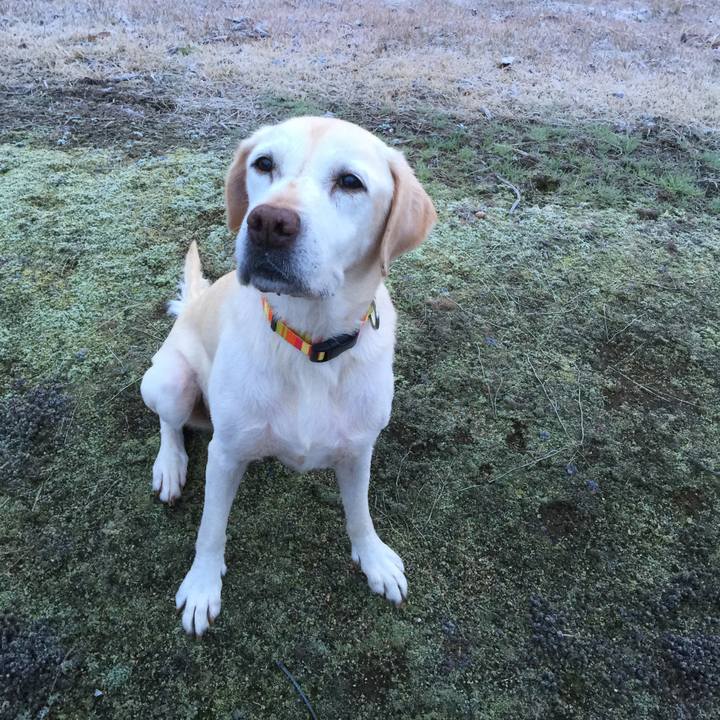 6a50fd17 d41b 4348 a0d8 e66749ea28a1