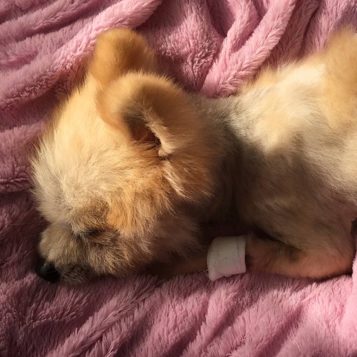 6a521f67 ae74 4417 aced f25f3044c5cc