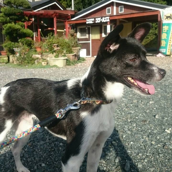 6a524663 ce56 42e3 a61c 4b1e21e51679