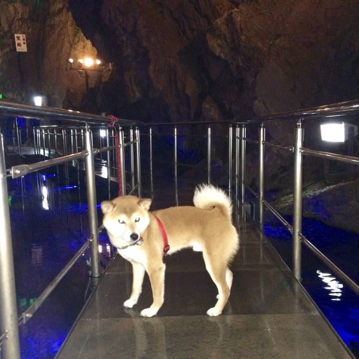 6a530daf 97bb 4d52 82b9 22bfd2ccfca9