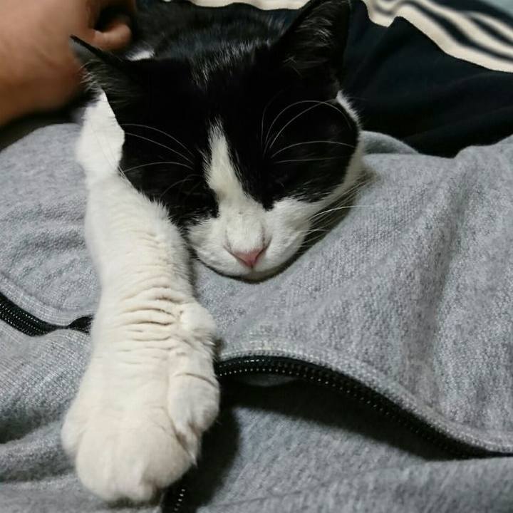 6a53774a 5469 4b78 98b1 ce58c276244e