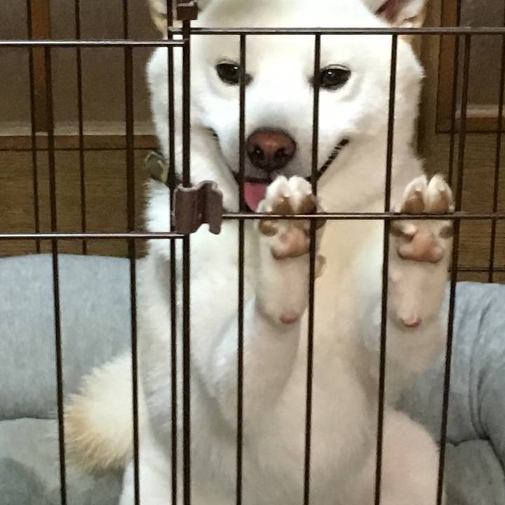 6a53c676 5007 4290 abd1 96bcfb16c74c