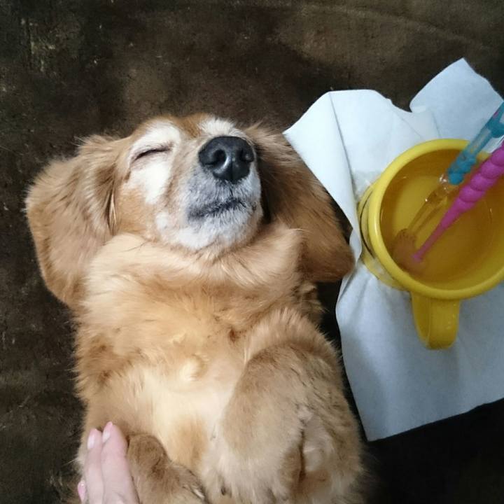 6a5434ed d263 49b8 8a11 64679d199b29