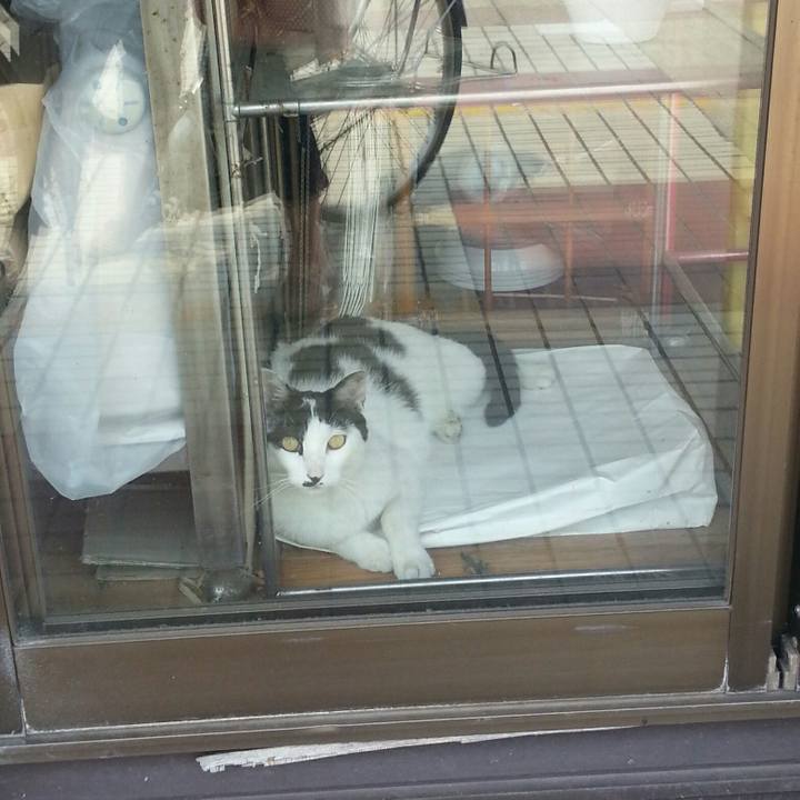 6a547ff7 8e58 45c7 9be9 0d870967d0d1