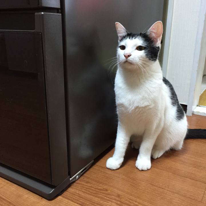 6a5488e0 e55c 487a b40f eb4bb250235c