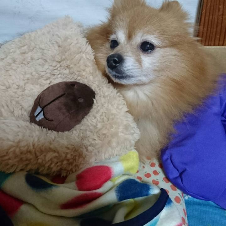 6a54e718 7528 4dbf 8d3e 88775d603499