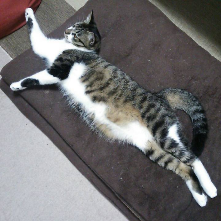 6a5576ff cf0a 4a58 b15a f61c2da93600