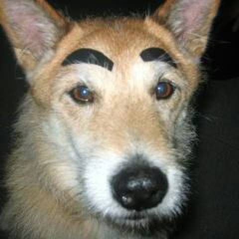 6a55cdb5 6c25 455f 9fcc abfcc11dd704