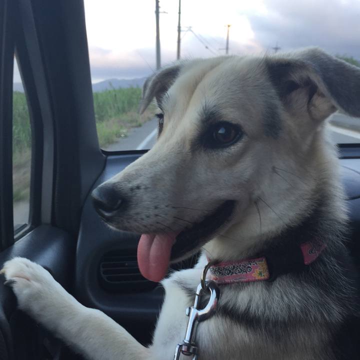 6a56b928 bfda 4545 8e32 44bcf81e88b1