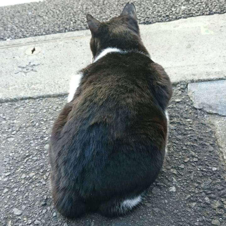 6a57319e 436f 4be9 89fe 6362a4887875