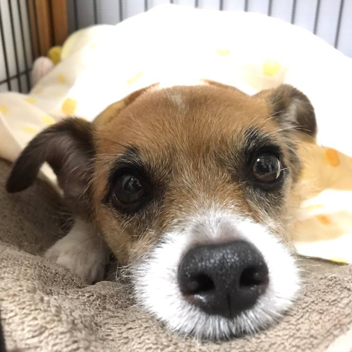 6a5779c1 f8a6 497e b4b7 2006379cabf9