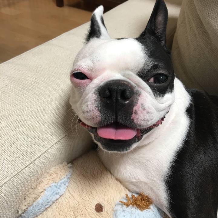 6a57fb27 9408 439a bd67 da2667ecc880