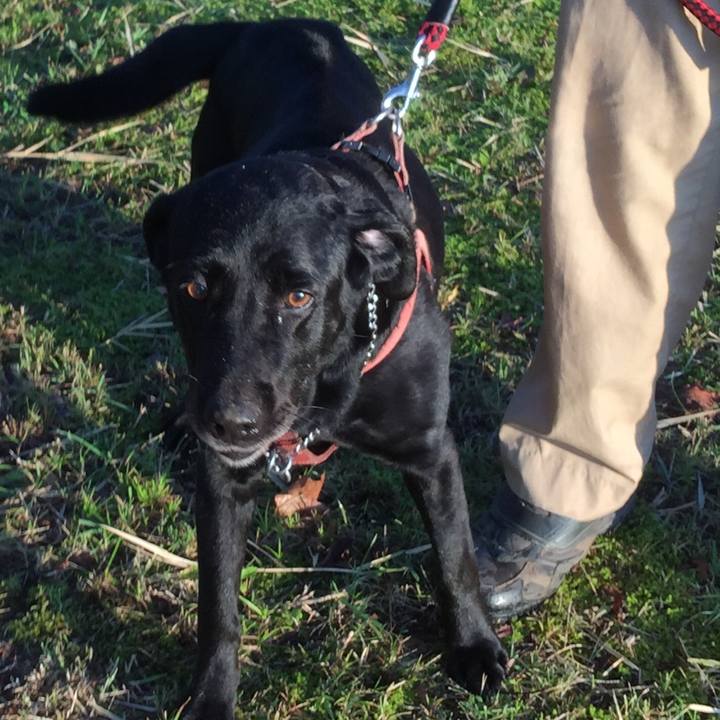 6a582f1f a506 40af 81ed 013444f3e07b