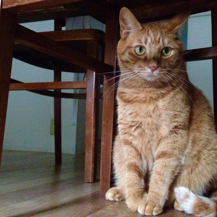 6a5847f9 353c 4976 8c8b 72c253ed47b9