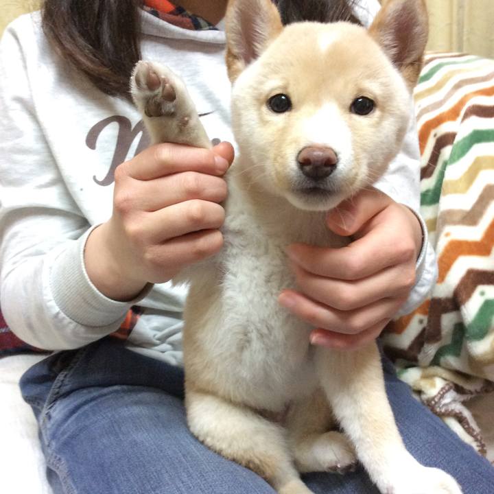 6a587ca4 8c29 4605 9846 9503e801d79d