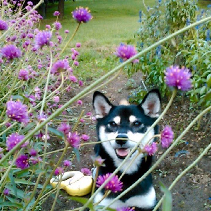 6a588548 6205 4ef1 9285 0eb1d68c4c78