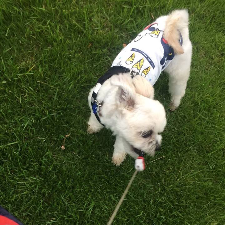 6a58cef8 fec9 4fe6 83c7 7990ca456785