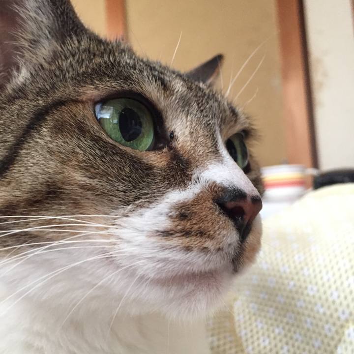 6a5a2789 c39c 426a a9d4 8cadbc76baff