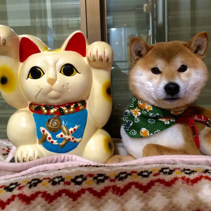 6a5b886c 7047 4ff2 bae7 a914271e4224