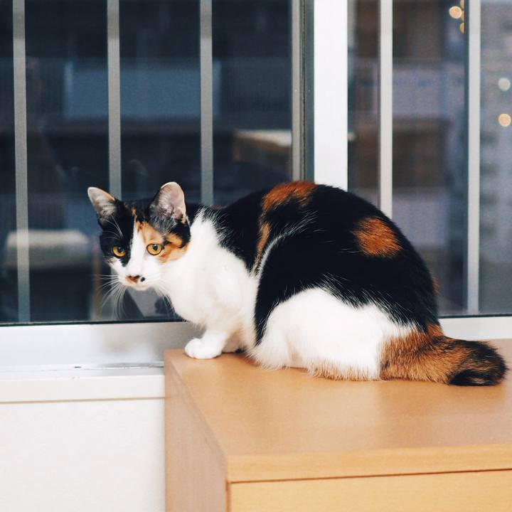 6a5b8884 36c9 4398 8f5b c1f3e57fafc0