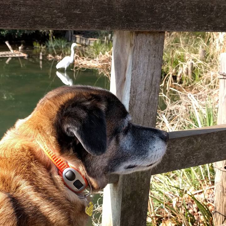 6a5bc95c b9ad 4f33 aa1f 0b8bb1d043ca