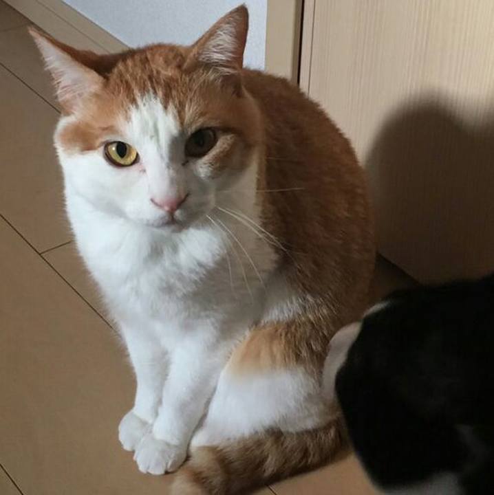 6a5c6680 0e01 4a01 96ef d79c25b05b9e