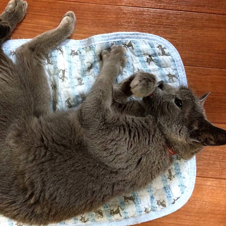 6a5c7440 5ebb 40cb ada5 695bd068a997