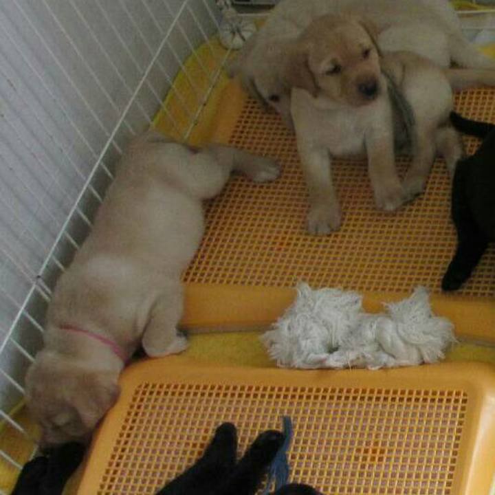 6a5ca050 77cb 4697 bbfe 77df230c9ee6