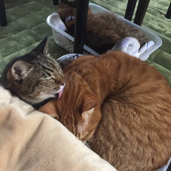 6a5ce294 7c39 470d 95e9 4a5ba17b604c