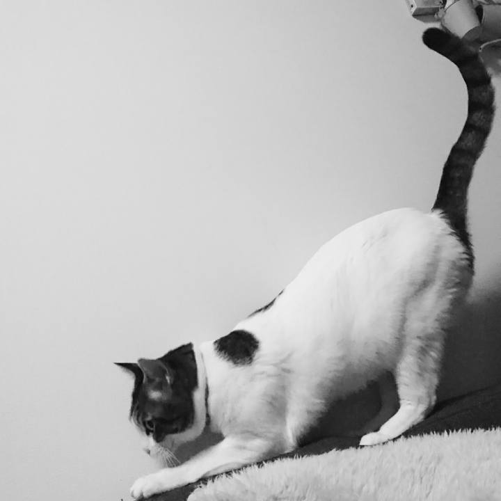 6a5d2043 cdc3 4022 8a4e dc9c9432b5dd