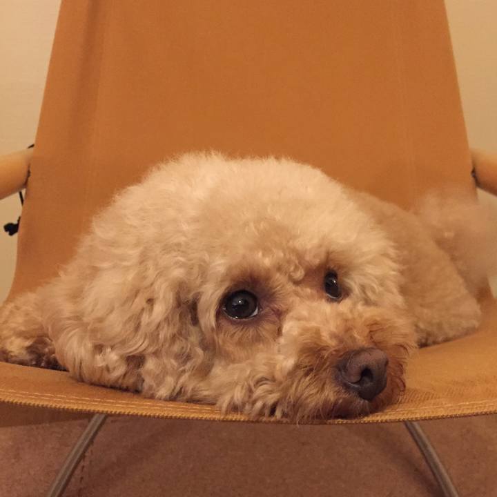 6a5d80ec 3874 48cd 8d4e d9b9e3b591ba