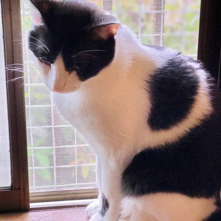 6a5dbce5 6c8a 43b1 9780 844480ee7297